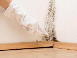 Mold Remediation for Rental Properties in Perry Heights, OH